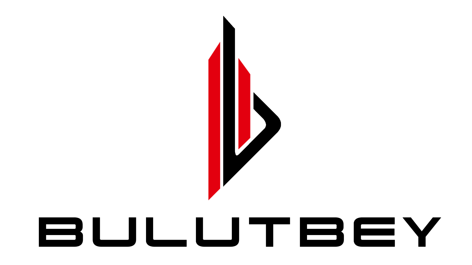 BulutBey Logo3 dik