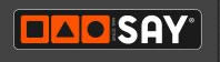 saysystems